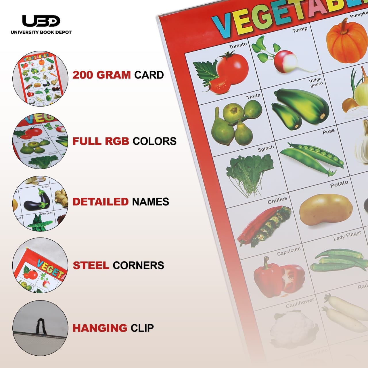 Vegetables Wall Chart | Premium Educational Vegetables Learning Chart