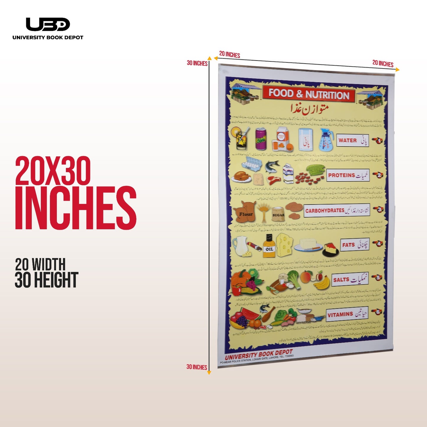 Food & Nutrition Wall Chart | Premium Kids Health Educational Poster