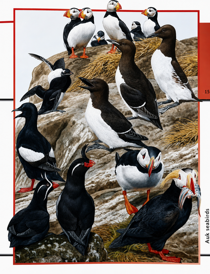 Fantastic World of Animals – Over 1000 Animals Illustrated in Detail