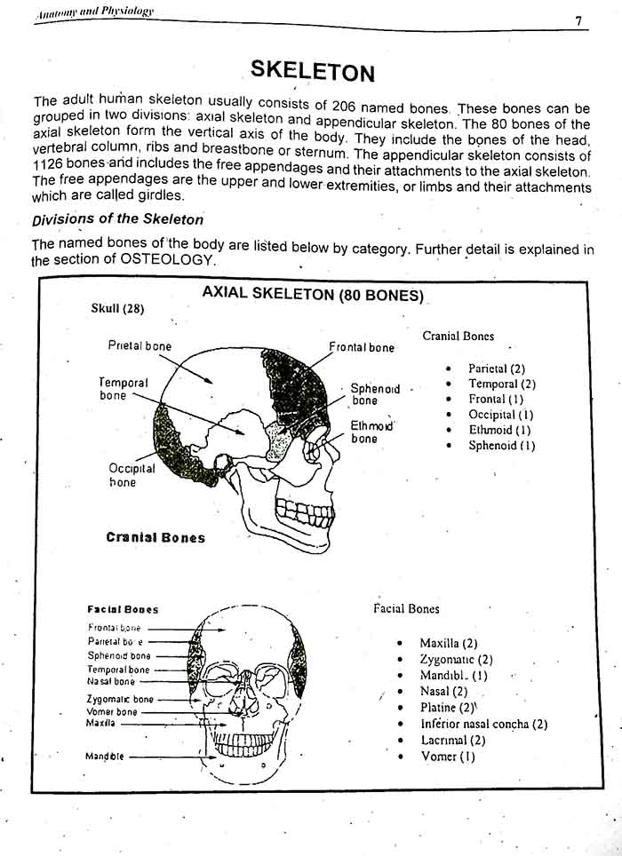 Anatomy & Physiology for F.Sc in (Medical Technology Group) By Dr Tasneem Alam Multan Kitab Ghar