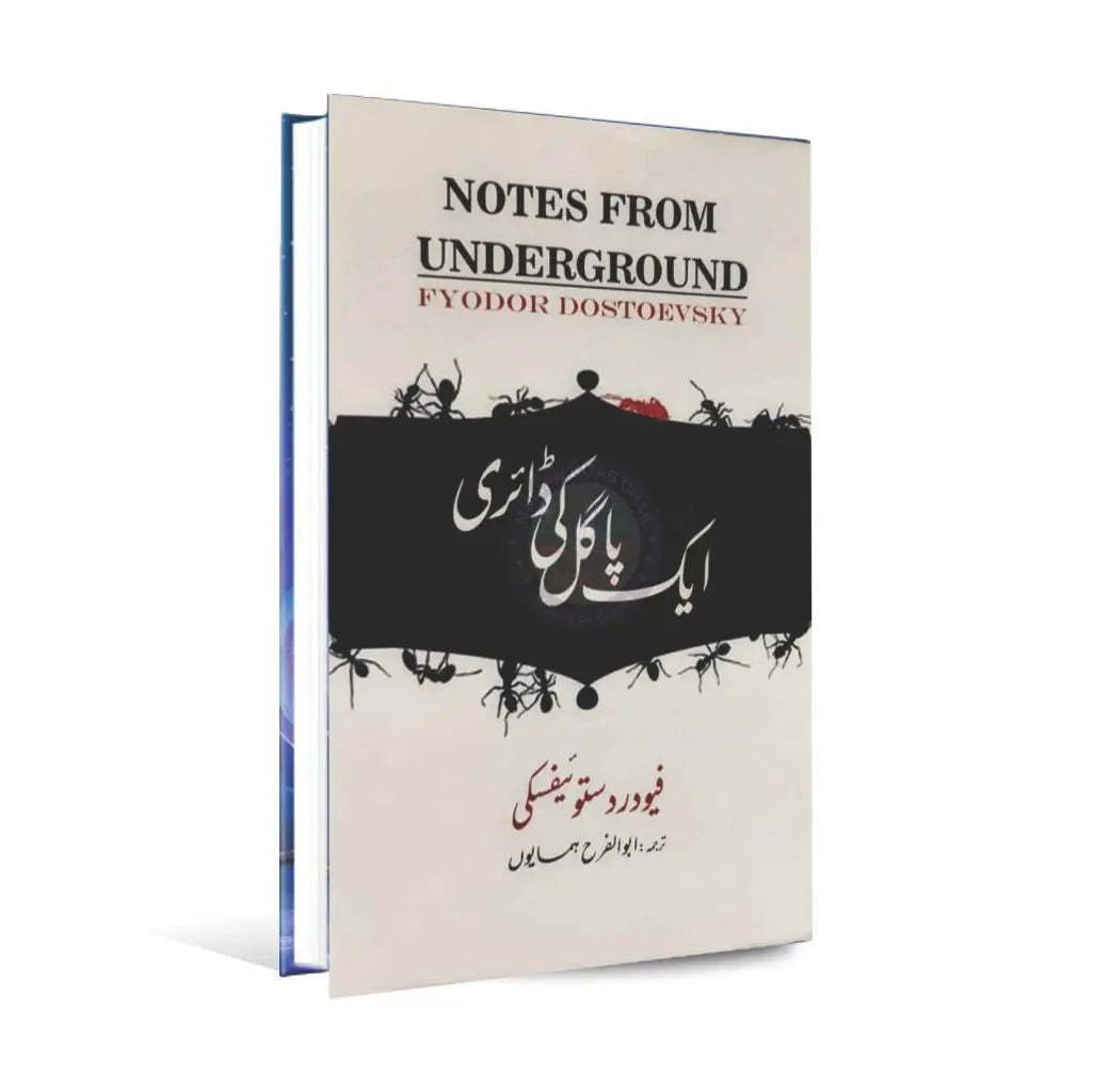 Ek Pagal Ki Diary Novel in Urdu By Rehan Books Multan Kitab Ghar