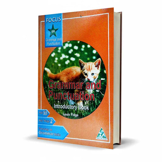 Focus on Grammar & Punctuation Introductory Book | Latest Edition