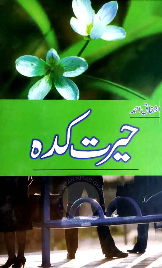 Hairat Kadah Urdu Novel By Ashfaq Ahmed Multan Kitab Ghar