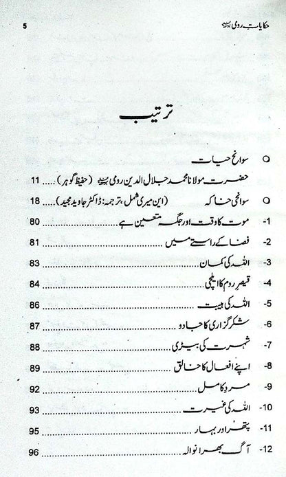 Hakaiyat Roomi (Urdu Novel )By Sofi M Nadeem Muhammadi