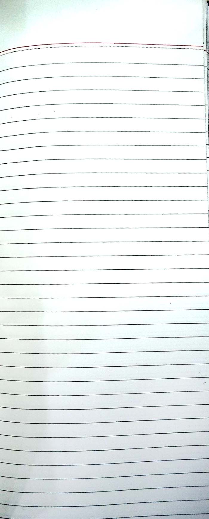 Lucky Day Book Simple Cash Record Register