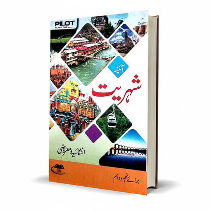 Pilot Super One Aina Civics Class 9–10 Urdu Medium Guide