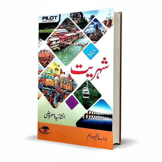 Pilot Super One Aina Civics Class 9–10 Urdu Medium Guide