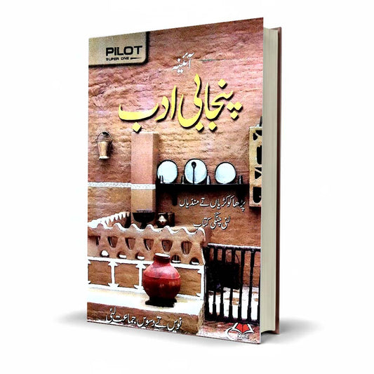 Pilot Super One Aina Punjabi Class 9 Urdu Medium Guide