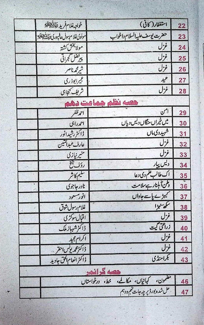 Pilot Super One Aina Punjabi Class 9 Urdu Medium Guide