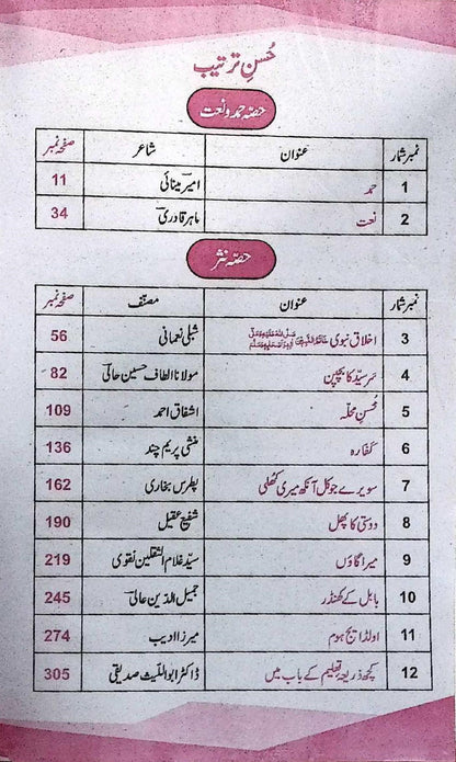 Pilot Super One Aina Urdu Lazmi Book For Class 10th