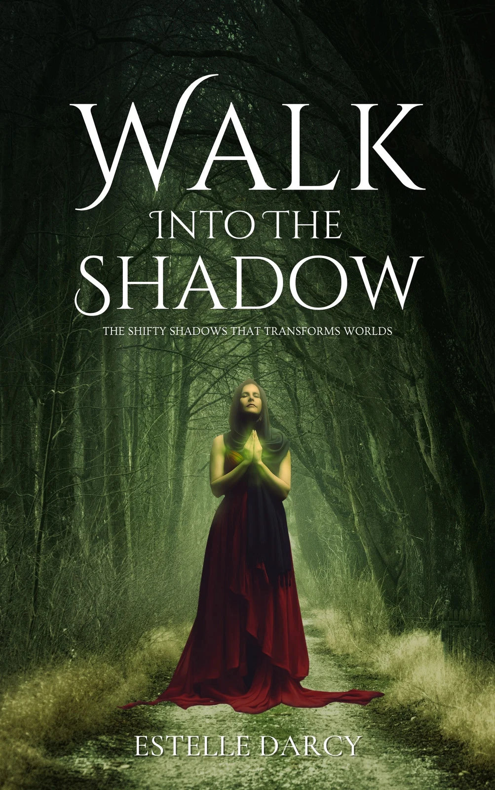 Walk Into the Shadow by Estelle Darcy | Fantasy Novel – The Shifty Shadows