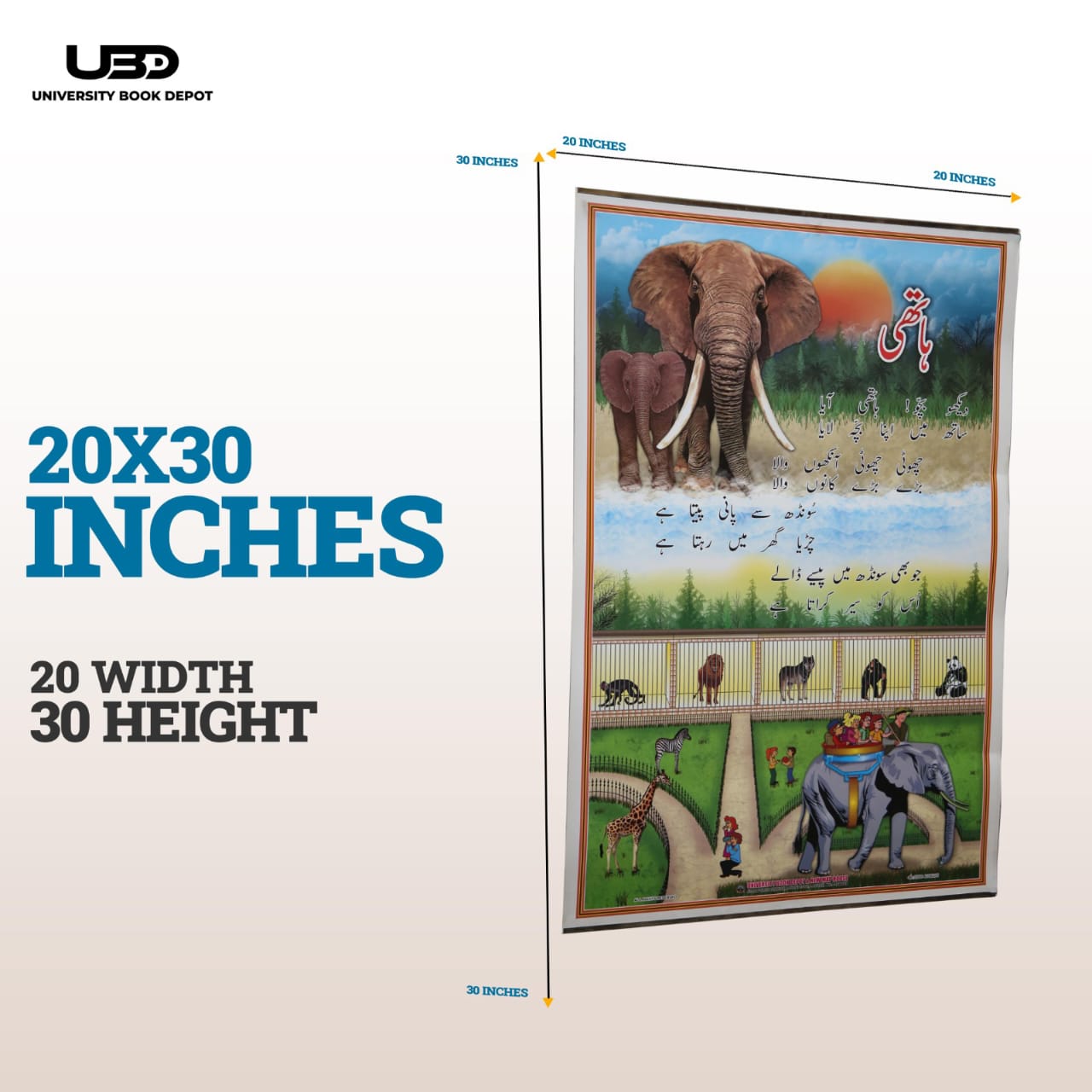 Hathi (Elephant) Wall Chart | Premium Urdu Educational Animal Chart