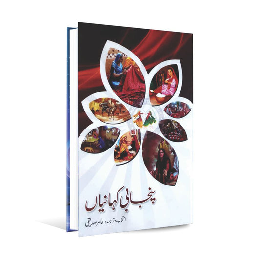 Punjabi Kahaniya Punjabi Stories Book by Amir Siddiqui Multan Kitab Ghar